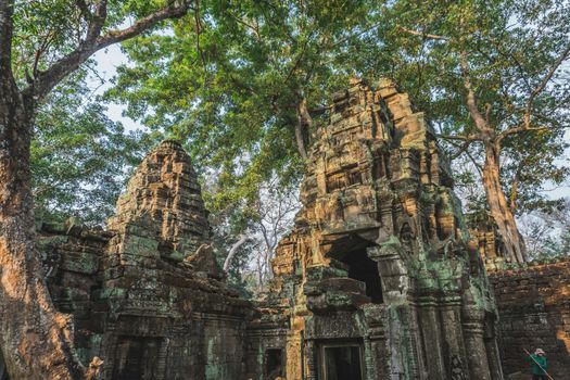 Cambodia Angkor Wat Ta Prohm Temple Tomb Raider Tree Roots Ruins. Angkor Temples Ta Prohm. Siem Reap, Cambodia 