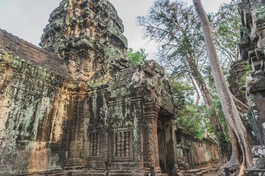 Cambodia Angkor Wat Ta Prohm Temple Tomb Raider Tree Roots Ruins. Angkor Temples Ta Prohm. Siem Reap, Cambodia 