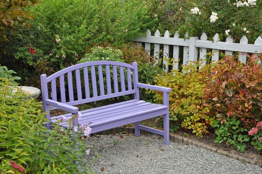 Purple wooden garden bench in late season 