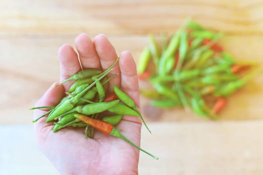 Hand holding a pile of fresh chilli against blurred wooden background for food ingredients and cooking concept