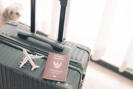 White airplane model and Thai passport on black luggage against blurred cutely dog background for travel and journey concept