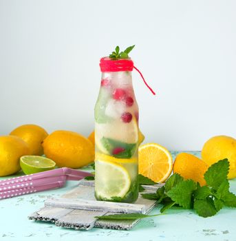 summer refreshing drink lemonade with lemons, cranberry, mint leaves, lime in a glass bottle, next to the ingredients for making a cocktail