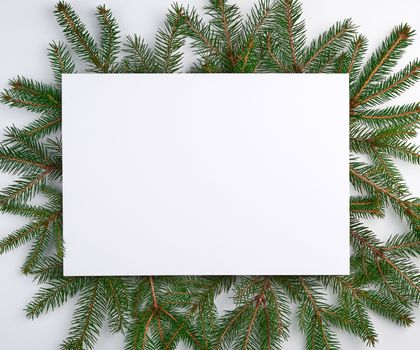 congratulatory Christmas background with an empty white sheet and green branches of spruce on a white background, mock up 
