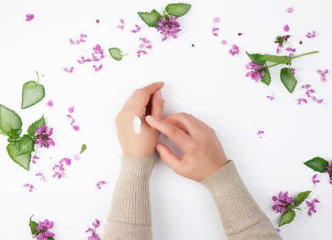 two female hands and thick cream and burgundy flowering peonies with green leaves, concept of anti-aging procedures for rejuvenating and moisturizing the skin of hands