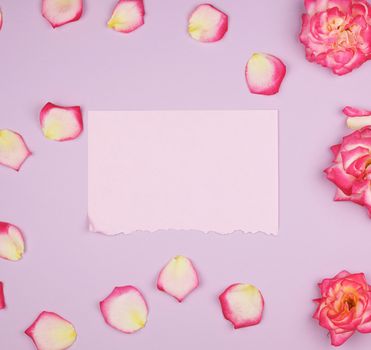 empty pink paper sheet and buds of pink roses, festive background, copy space