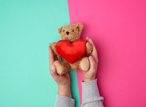 two female hands hold a small toy teddy bear on a pink green background, top view