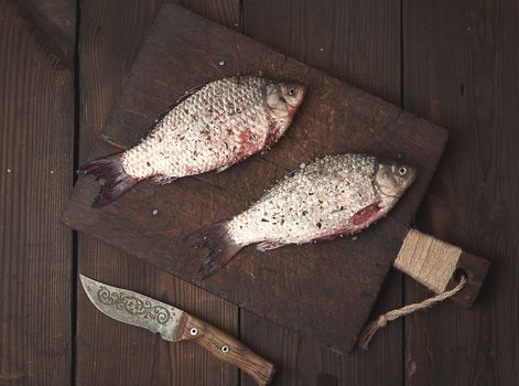 fresh crucian fish lies on a brown wooden cutting board, wooden table from boards, top view