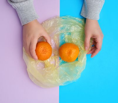 two ripe orange mandarins lie in a transparent plastic bag on a color background, top view