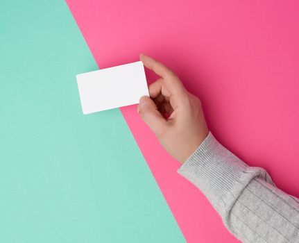 female hand holding empty white paper business card on a colored background, top view