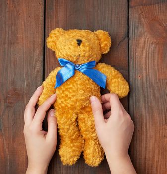 two female hands hold a small toy teddy bear on a brown wooden background, top view