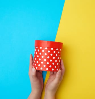 female hands hold a closed paper red cardboard box on a yellow-blue background, concept of surprise