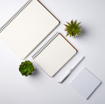 open spiral notebook with empty sheets, pots with green indoor plants on a white table, top view, workplace