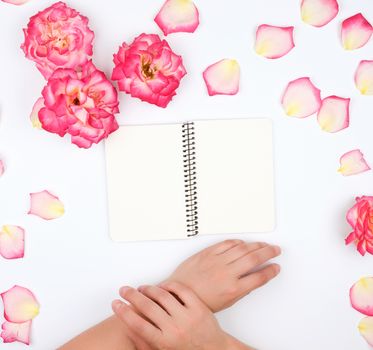 two female hands holding open notepad with clean white sheets on a white background, top view