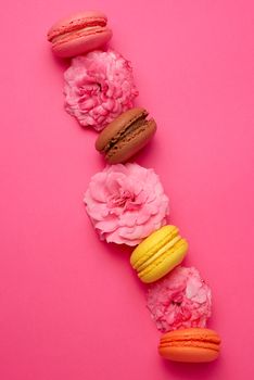 sweet multi-colored macarons with cream and a pink rose bud on a pink background, top view, flat lay