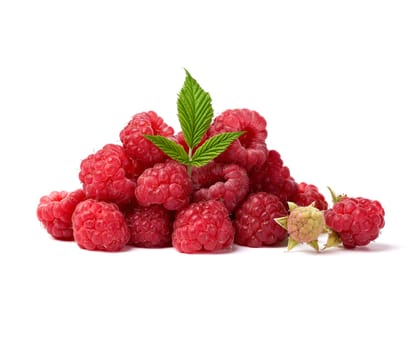 red ripe raspberries and green leaf on a white background, summer sweet crop, close up