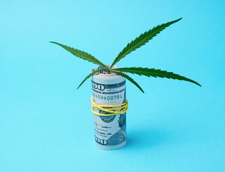 banknotes of american dollars and green leaf of hemp on a blue background, concept of making money on illegal business