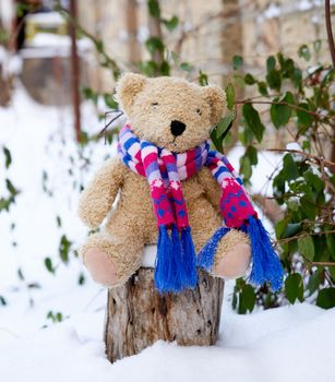 Brown children`s soft toy bear in a bright knitted scarf sitting on a stump in the middle of white snow