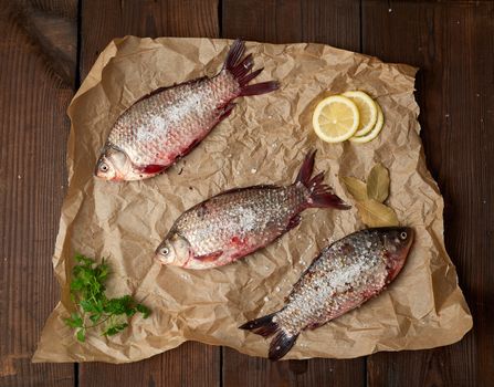 whole fresh crucian fish with scales on a crumpled brown piece of paper, top view