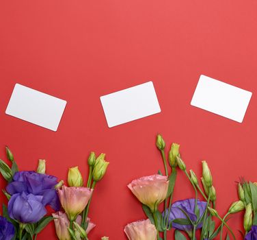 fresh blooming flowers Eustoma Lisianthus and empty paper card on red background, top view