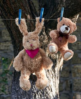 hare with long ears and a brown teddy bear hang on a clothesline after washing and dry, autumn day