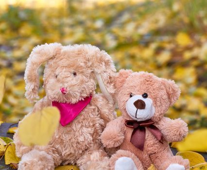 bunny with long ears and a teddy bear are sitting in the middle of dry yellow leaves on an autumn day, blurred background behind, friendship concept