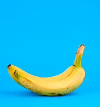 ripe yellow banana on a blue background, copy space, close up