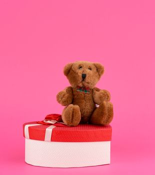 cute brown teddy bear and red gift box on a pink background, close up 