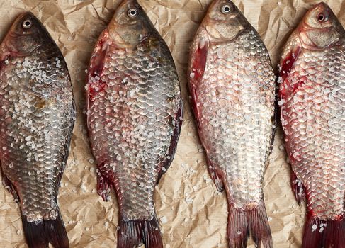 whole fresh crucian fish with scales on a crumpled brown piece of paper, close up