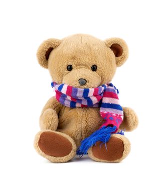 cute brown teddy bear in a colored knitted scarf sitting on a white background, close up