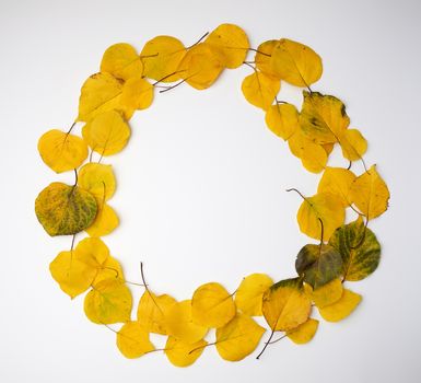 round wreath of yellow dried apricot leaves on a white background, copy space