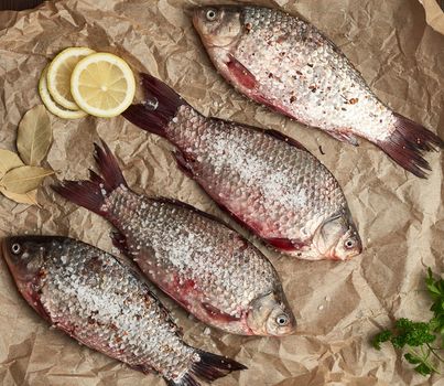 whole fresh crucian fish with scales on a crumpled brown piece of paper, top view
