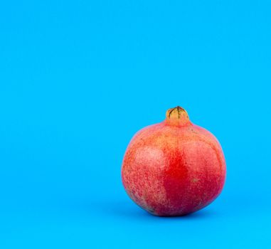ripe red pomegranate in a peel on a blue background, close up 