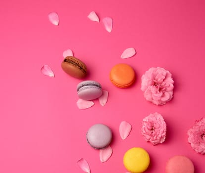 multi-colored macarons with cream and a pink rose bud with scattered petals on a pink background, top view, flat lay