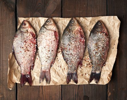 whole fresh crucian fish with scales on a crumpled brown piece of paper, table of boards, top view