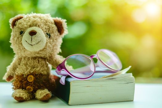 Brown bear doll sitting with a book and eyeglasses on blurred green natural background