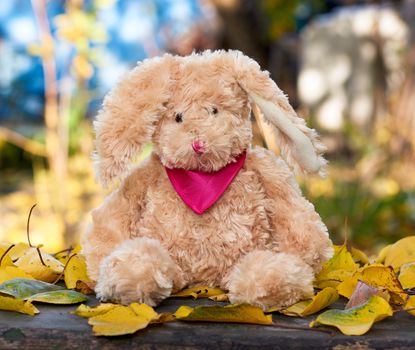 little plush hare with long ears and a red scarf sits in the middle of dry yellow leaves on an autumn day, blurred background behind