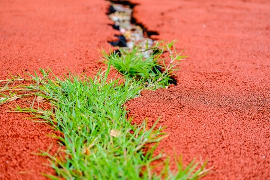 Cracked surface of playground rubber with green grass
