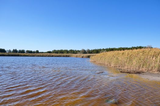 therapeutic lake with iodine and minerals in the middle of the wild steppe, Lake Blue,  Ukraine, city of Kherson