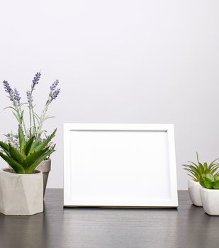 empty white frame, flowerpot with flower on a black table, white background