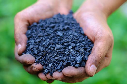 Selective focus of fine coal (sizing of 0-10 mm) in worker's hands against the blurred green natural background, energy concept