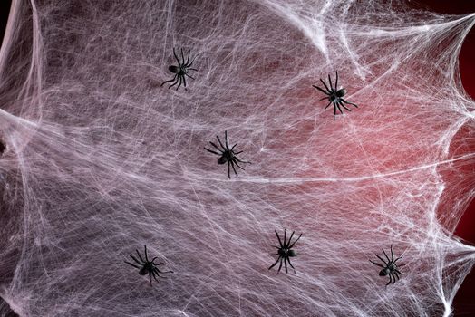 stretched white web with red backlight and black spiders, background for the holiday Halloween, copy space
