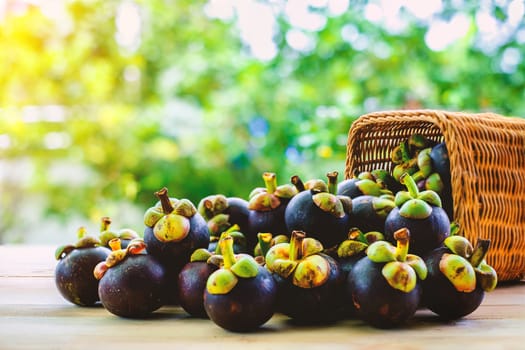 Mangosteen fruit in the basket on wooden table with blurred green background