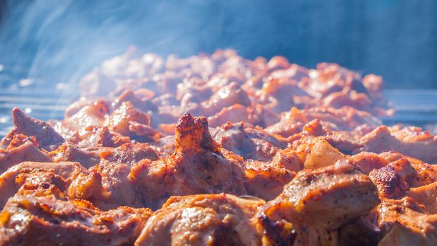 We fry shish kebabs, barbecue, BBQ in the backyard in the summer on a weekend. The chef prepares meat in a cafe or restaurant. Fresh raw and fried pork, beef and lamb meat on a skewer.