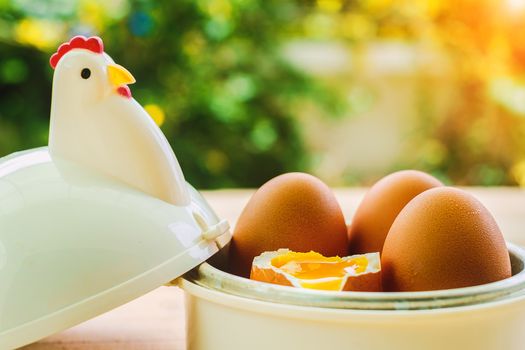 Eggs in egg cup for breakfast with blurred green background