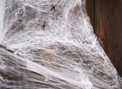white spider web with black spiders on a wooden background from old boards, backdrop for the holiday Halloween