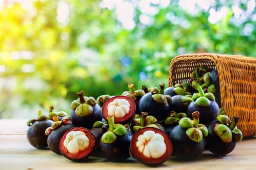 Mangosteen fruit in the basket on wooden table with blurred green background
