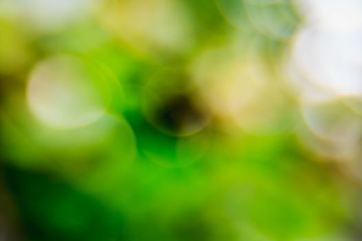 Abstract blurred green natural background