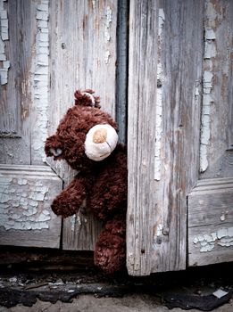 brown teddy bear peeks out from behind an old door with cracked paint, close up