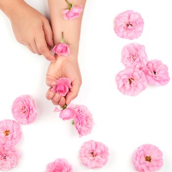 two hands of a young girl with smooth skin and pink rose on a white background, top view,  fashionable concept for hand skin care, anti-aging care, spa treatments