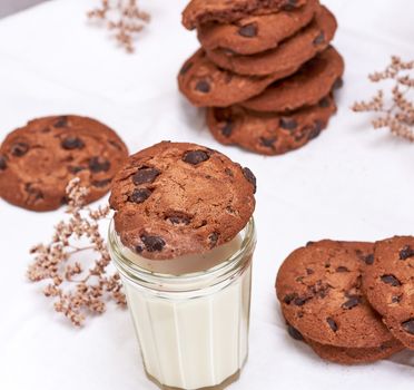 round chocolate cookie and  transparent glass with milk, breakfast